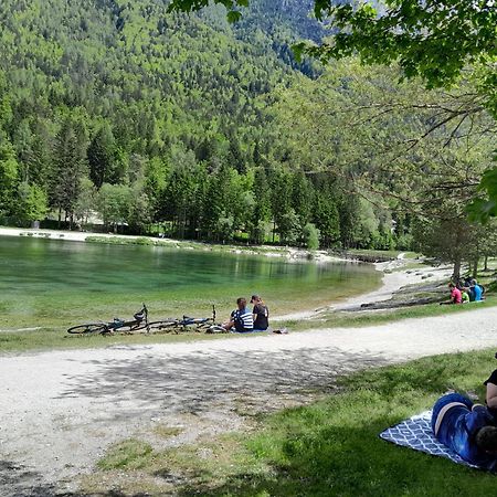 Les Chalet Kranjska Gora Exteriör bild
