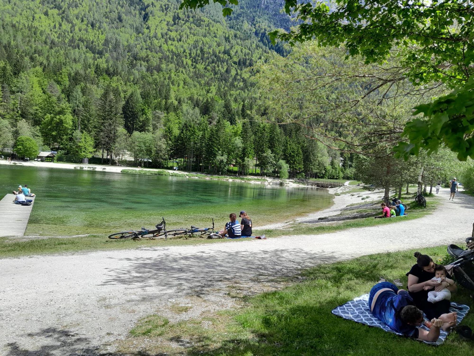 Les Chalet Kranjska Gora Exteriör bild